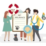 Compare Cheap Pet Insurance Quotes